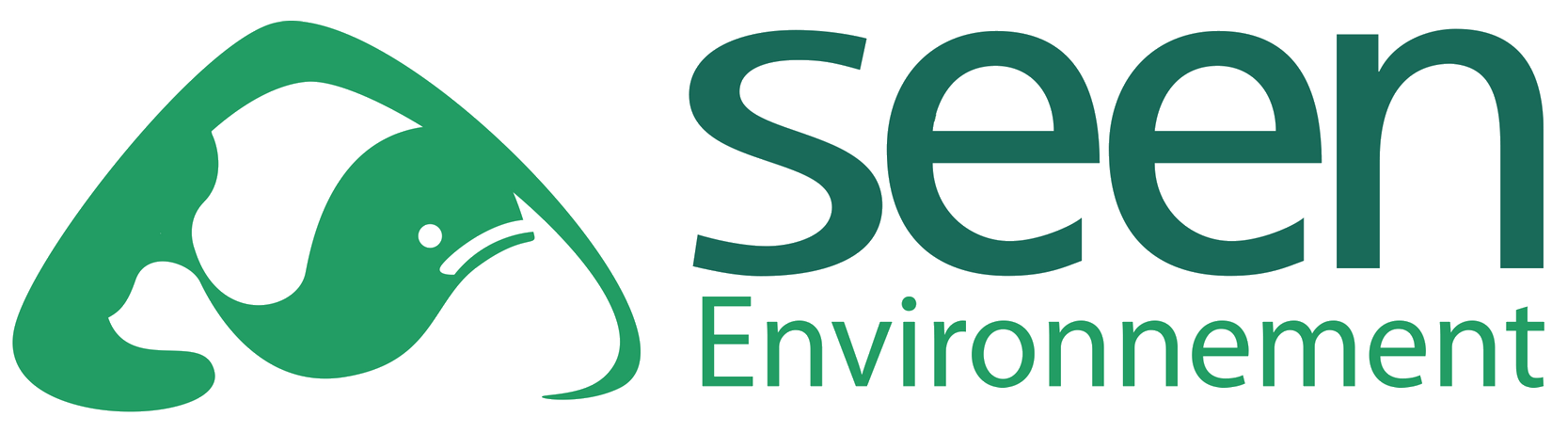 Seen Environnement